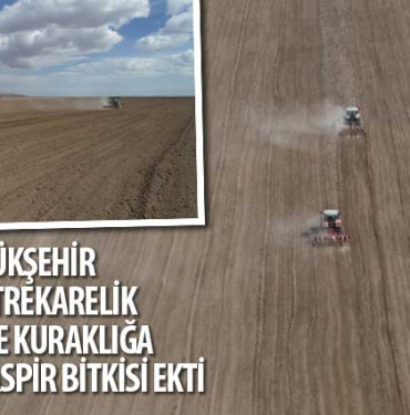konya-haberlerif184eaf9621004898c06952cc780b517.webp