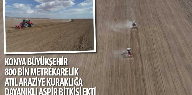 konya-haberlerif184eaf9621004898c06952cc780b517.webp