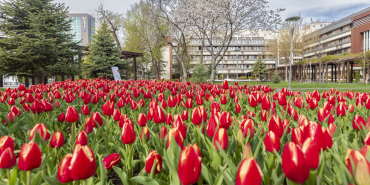 kayseri-haberleri-b2b3d9ae82bbc6212022b08cb9b2c71b.webp