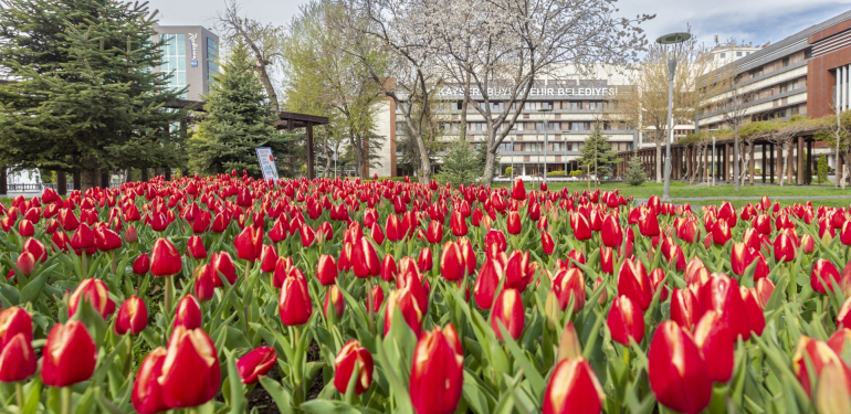 kayseri-haberleri-b2b3d9ae82bbc6212022b08cb9b2c71b.webp