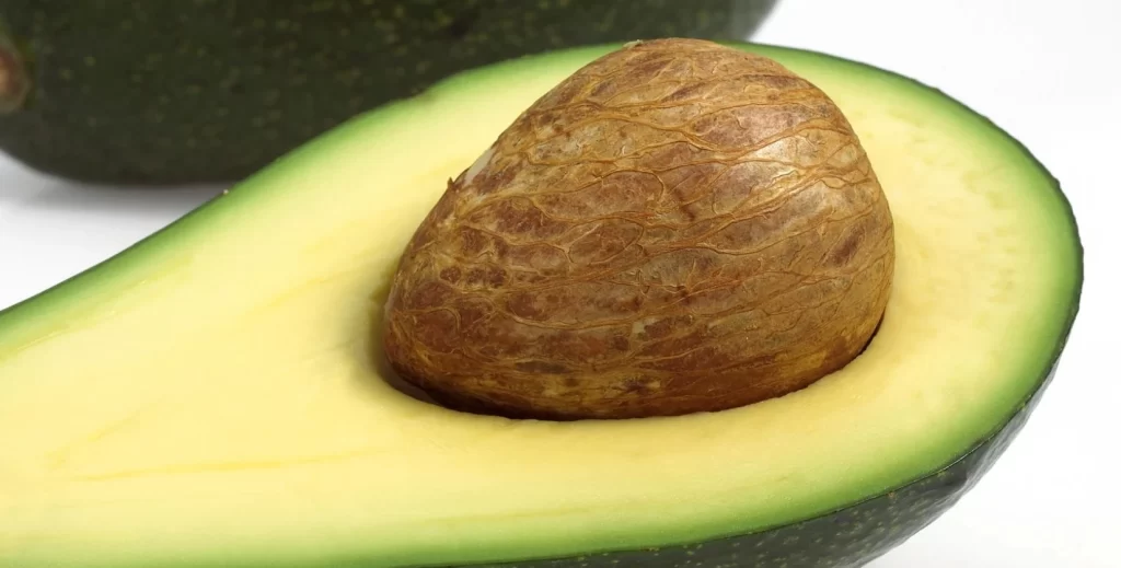 Haftada bir avokado yemek kalp hastalığı riskini azaltabilir