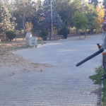 kahramanmaras-haberleri-287d475cab132a6c10dbede916a7554f.webp