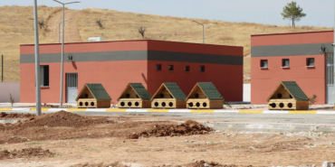sanliurfa-haberleri-8b6193256aa57c87163a9a126cac1a40.webp