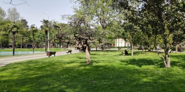 bursa-haberleri-08b6fcc1c272d5e41e8e3b892bbf65b8.webp