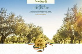 nermin-hanim-zeytinyagi