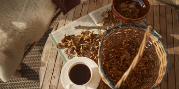 e0b697bb-ba9a-41a2-bc51-c3e69ede628a