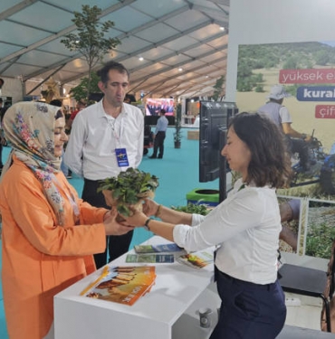 gundem-antalya-haberleri-0fe1ca1185021d7ca71f51d0de93d6d5.webp