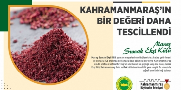 kahramanmaras-haberleri-29db1927441bee19b39979d97fcc79a9.webp