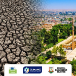 sanliurfa-haberleri-ce5ce1610736be578bcc461541b3f4ea.webp
