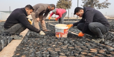 sanliurfa-haberleri-554da80d97cf14a6591f0d50e2303b82.webp