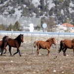 gundem-antalya-haberleri-6f2d71ca9c22797fdbeefec7245cc8cc.webp