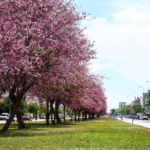 gundem-antalya-haberleri-049d17c70d8ad680620b3b4751e11d9f.webp