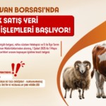 kahramanmaras-haberleri-e71a2ba527045fc0503f4b7b7146983b.webp