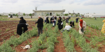 sanliurfa-haberleri-06a7ac2f3ed8fd831522405f7f2a9790.webp