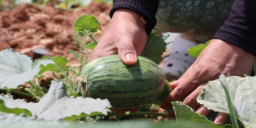 sanliurfa-haberleri-4faf56177b6758bdbde1cdd253701238.webp