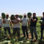 sanliurfa-haberleri-35edfd1e7ddeaae9039c851ef785adda.webp