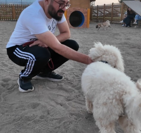 Büyükşehir’in Köpek Eğitim Parkuru’na Tam Not