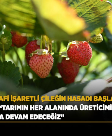 konya-haberleri-96fb274c4f1e904e7a6e8ac31609d1d1.webp