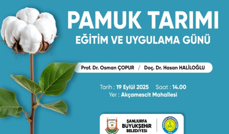 BÜYÜKŞEHİR’DEN PAMUK ÇİFTÇİLERİNE EĞİTİM VE UYGULAMA GÜNÜ