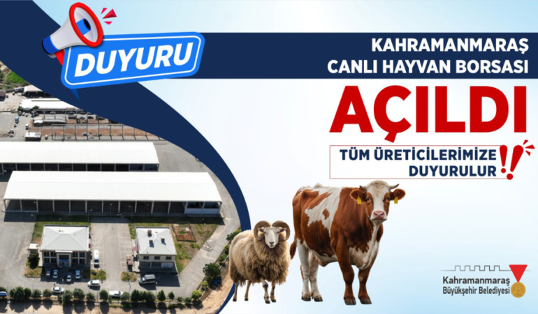 Canlı Hayvan Pazarı Açıldı