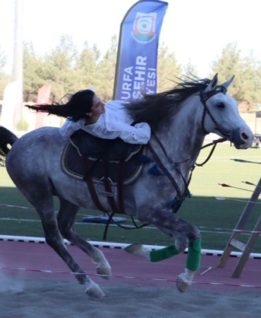 sanliurfa-haberleri-2099341cfb5cf06a596a3e3c8dfe3740.webp