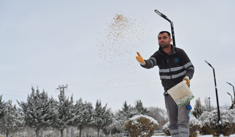 Soğuk ve karlı günlerde doğadaki kuşlar unutulmadı