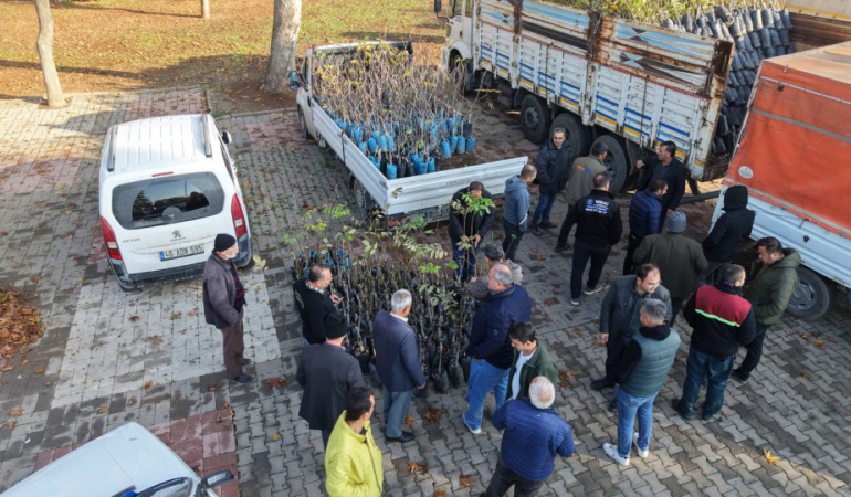 Büyükşehir’den Bin 500 Üreticiye 193 Bin Adet Fidan Desteği