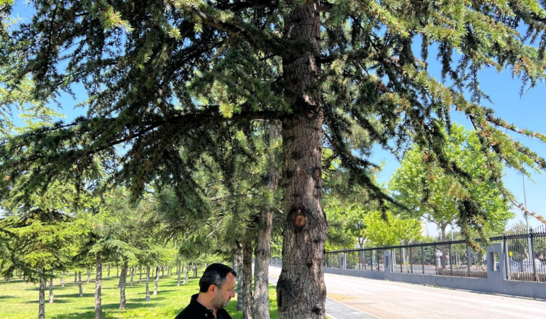 Kayseri Büyükşehir’den Yeşil Alanlarda Çevreci ve Etkin Mücadele