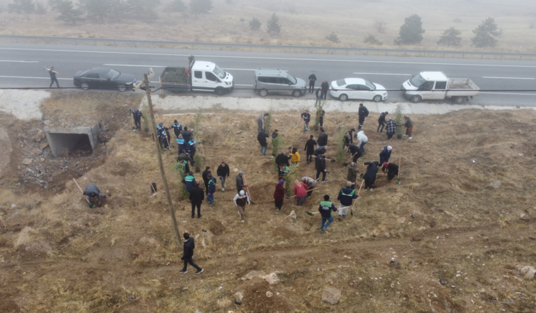 Büyükşehir, Ağaçlandırma Çalışmalarına 1200 Fidanla Yahyalı’da Devam Etti