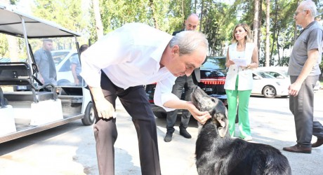 Hayvan dostu Kepez Belediyesi’nin çalışanlarına saldırı…