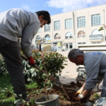 sanliurfa-haberleri-1f98784011b3b50f0093a64e7623c2ec.webp