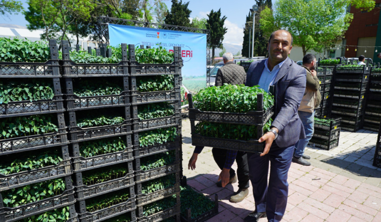 Büyükşehir’den Üreticiye 650 Bin Hibe Biber Fidesi