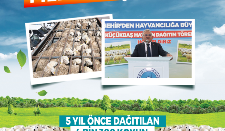 Başkan Büyükkılıç’tan Kırsala, Kendi Kendini Büyüten Model: 150 Bin Küçükbaş Artışı