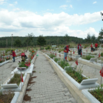 kahramanmaras-haberleri-8ddc51159578072420e29e83fcd3a24f.webp