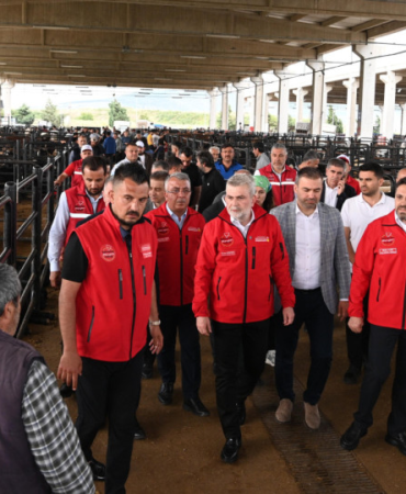 kahramanmaras-haberleri-c7d677303cd4d871ef1a2428ef286a75.webp