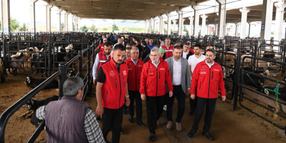 kahramanmaras-haberleri-c7d677303cd4d871ef1a2428ef286a75.webp