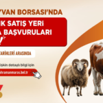 kahramanmaras-haberleri-ec4fa8261686478ddab879fd5a88c852.webp