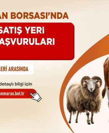 kahramanmaras-haberleri-ec4fa8261686478ddab879fd5a88c852.webp