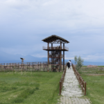 kayseri-haberleri-ab683c8599c86fb75df7ca8cd6c8b912.webp