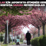 konya-haberleri-cfd9fc37ff2239dedb7d0f7656cd96e3.webp