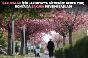 konya-haberleri-cfd9fc37ff2239dedb7d0f7656cd96e3.webp