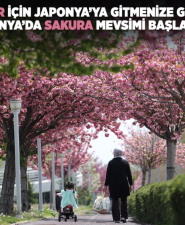 konya-haberleri-cfd9fc37ff2239dedb7d0f7656cd96e3.webp