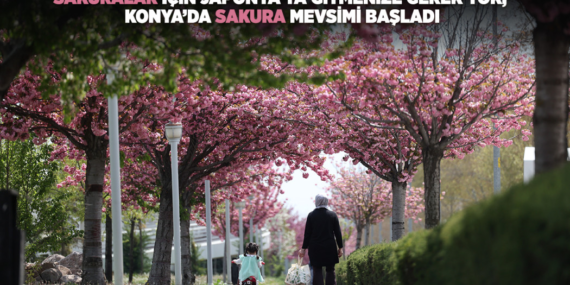 konya-haberleri-cfd9fc37ff2239dedb7d0f7656cd96e3.webp