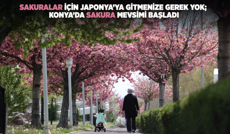 konya-haberleri-cfd9fc37ff2239dedb7d0f7656cd96e3.webp