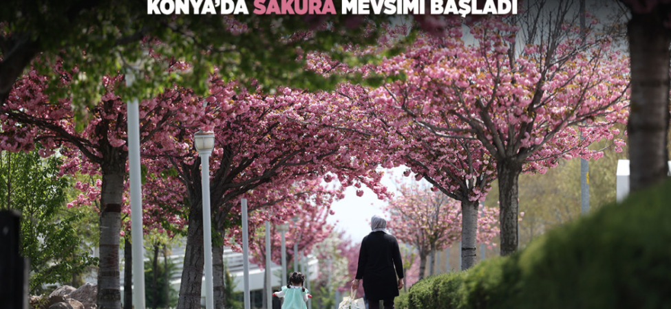 konya-haberleri-cfd9fc37ff2239dedb7d0f7656cd96e3.webp