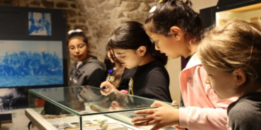 sanliurfa-haberleri-69befc2945b0766395553f4fe0dab2f9.webp