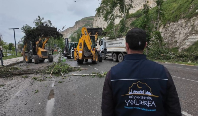 sanliurfa-haberleri-935dc21b8cfa8f1611805db17b3e6e53.webp
