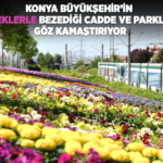 konya-haberleri-20f7851574c2c0a399e1ca06e6a40dbc.webp