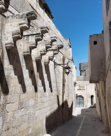 sanliurfa-haberleri-0e9db8f3f48bb73c13d4228c42c336ea.webp