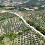 bursa-haberleri-ea873f25abecdca2b82eb7fa1fa7eff3.webp